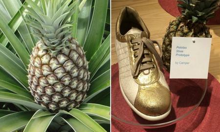 Kenia transforma los residuos de la piña en calzado - Circuito Regional ...