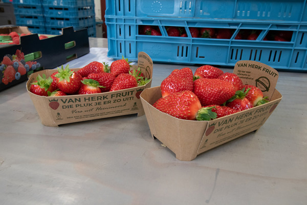 bioenvases-alimentarios-a-partir-de-desperdicios-de-fresas-circuito