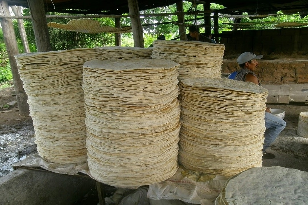 Producción de casabe en Monagas presenta baja por escasez de yuca ...